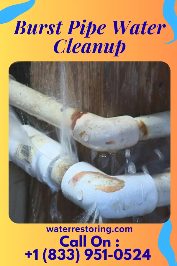 Burst Pipe Water Cleanup in Perkins, OK